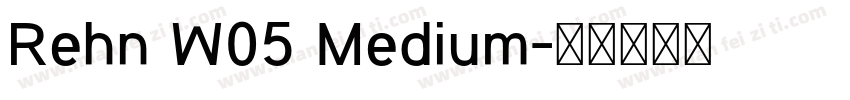 Rehn W05 Medium字体转换
